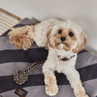 OYOY Zoo tirimismänguasi Otto