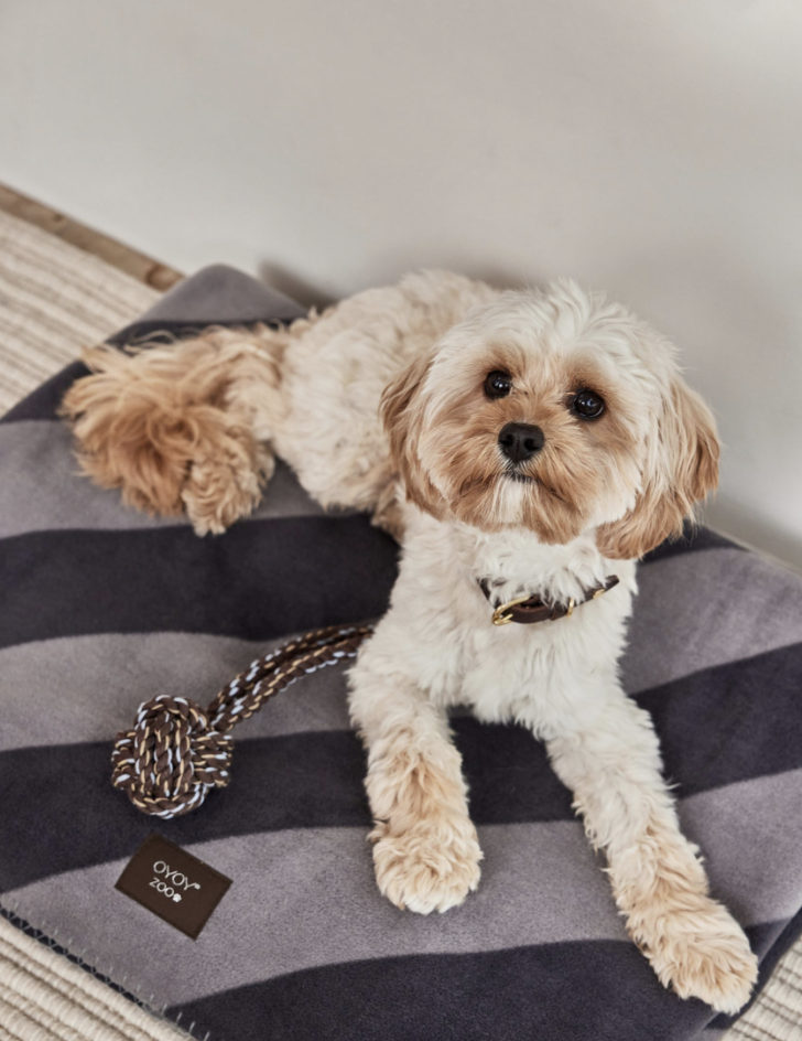 OYOY Zoo tirimismänguasi Otto