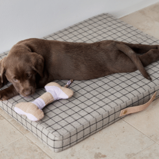 OYOY Zoo loomade väike mänguasi Ashi