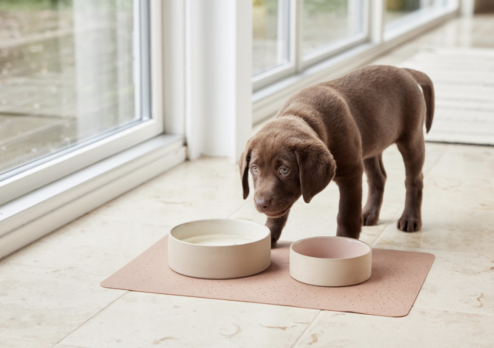 OYOY Zoo loomakauss 820ml, Offwhite - Image 2