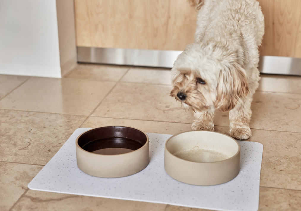 OYOY Zoo loomakauss 820ml, Offwhite