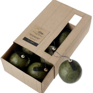 Lübech Living - Jõuluehted, 6tk karbis, oliivi roheline