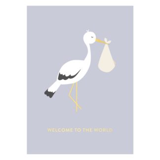 Timi of Sweden - Postkaart, Welcome to the world