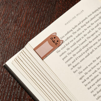 Kikkerland magnetilised järjehoidjad, kassid